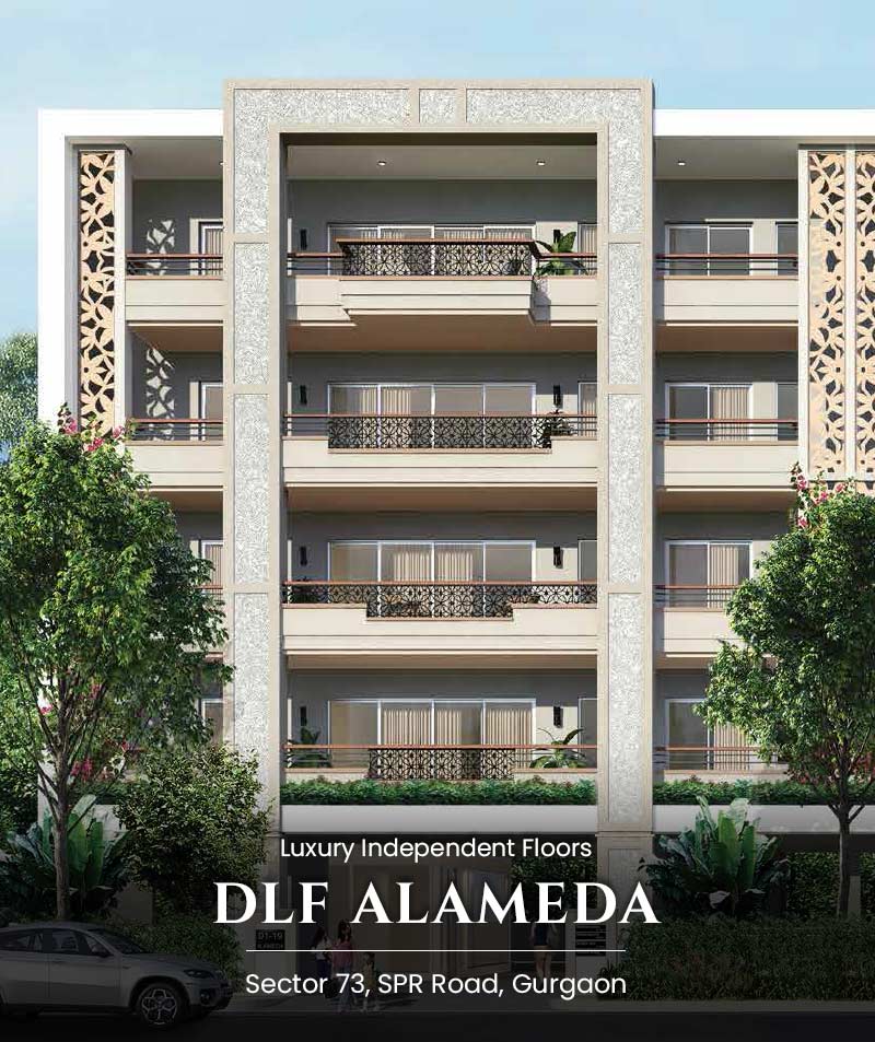 Dlf Alameda Floors Gurgaon