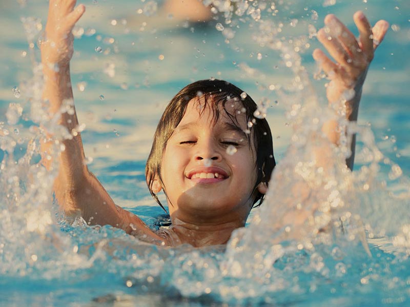 DLF The Crest specifications